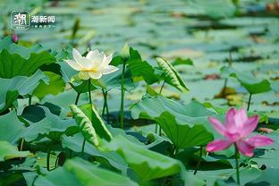 格雷森-阿伦：今天我们的防守不错 很有积极性